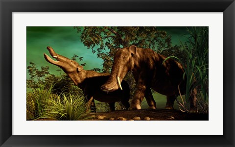 Framed Platybelodon Print