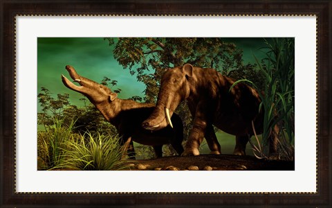 Framed Platybelodon Print