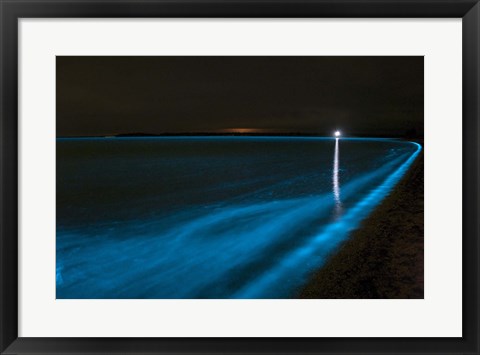 Framed Bioluminescence in Waves in the Gippsland Lakes Print