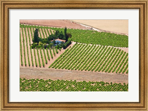 Framed Spain, Granada Crops of the Andalusia Valley Print