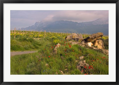 Framed Wildflowers surround the Sacred Burial Site, Elvillar Village, La Rioja, Spain Print