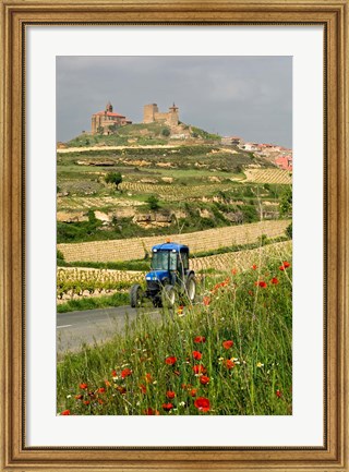 Framed Blue tractor on rural road, San Vicente de la Sonsierra Village, La Rioja, Spain Print