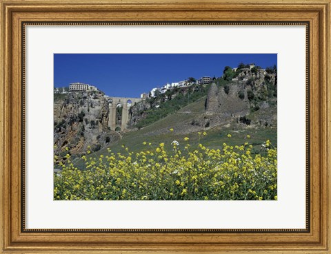 Framed Wildflowers in El Tajo Gorge and Punte Nuevo, Ronda, Spain Print