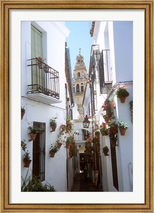 Framed Calleja de las Flores (Flower Alley), Spain Print