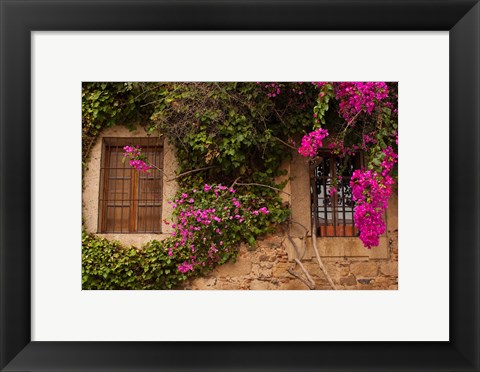 Framed Flower-covered Buildings, Old Town, Ciudad Monumental, Caceres, Spain Print