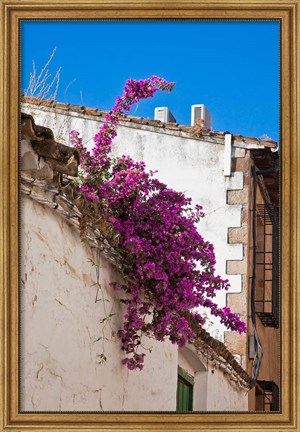 Framed Spain, Andalusia, Banos de la Encina Bougainvillea Growing on a Roof Print