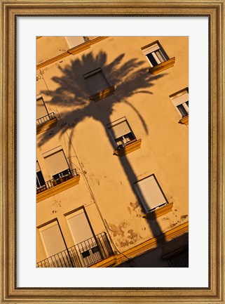 Framed Spain, Cadiz, Campo del Sur, Palm Shadow Print