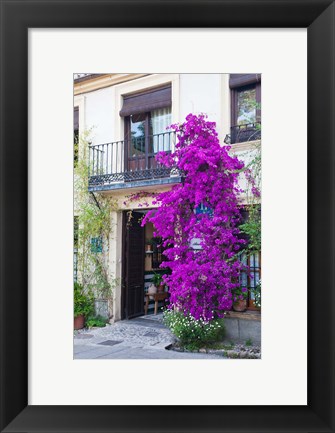 Framed Spain, Granada The entrance of Hotel America Print