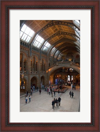 Framed England, London, Natural History Museum Great Hall Print