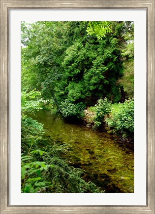 Framed England, Lake District, Cumbria, Flora Print