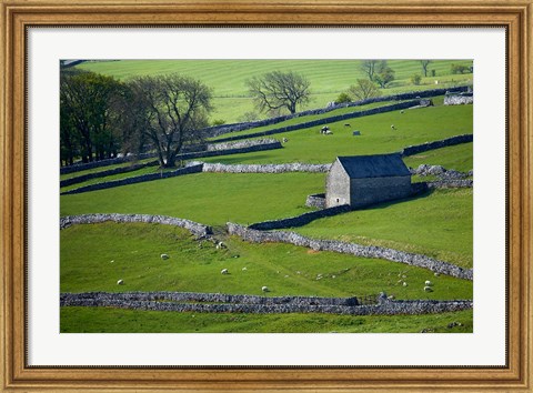 Framed Farmland, Stone Walls and Buildings, near Malham, Yorkshire Dales, North Yorkshire, England Print