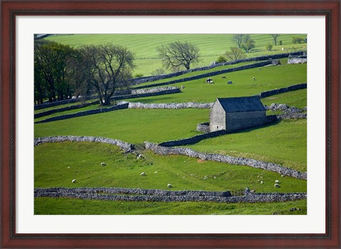 Framed Farmland, Stone Walls and Buildings, near Malham, Yorkshire Dales, North Yorkshire, England Print