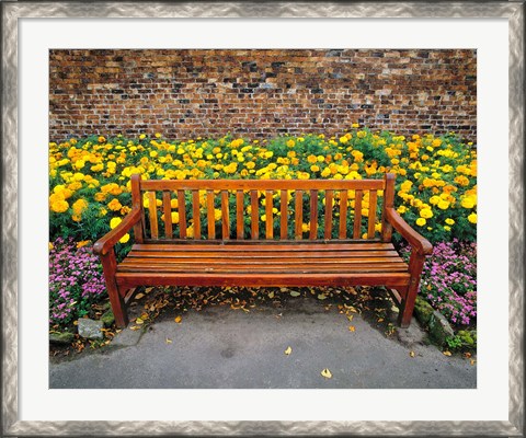 Framed England, Northumberland, Hexham, Park bench Print