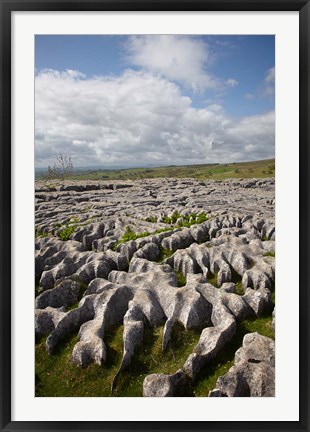 Framed Limestone Pavement, Malham Cove, Yorkshire Dales National Park, North Yorkshire, England Print