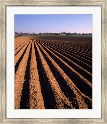 Framed Ploughed Field, Surrey, England Print