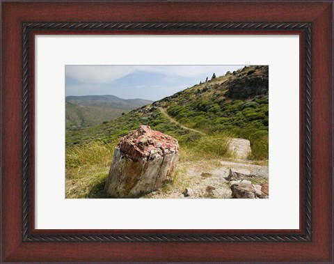 Framed Petrified Forest, Sigri, Lesvos, Mithymna, Northeastern Aegean Islands, Greece Print
