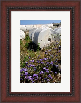 Framed Greece, Cyclades, Delos Ancient Architecture Print