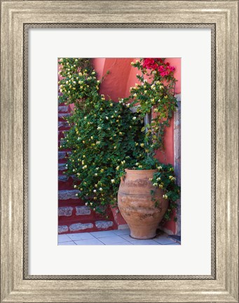 Framed Large Pot With Honeysuckle Vine, Santorini, Greece Print