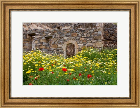 Framed Old building and wildflowers, Island of Spinalonga, Crete, Greece Print