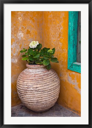 Framed Flower in pot, Crete, Greece Print