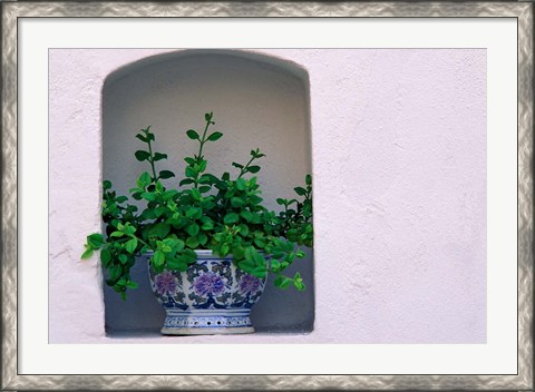 Framed Alcove Plant, Santorini, Greece Print