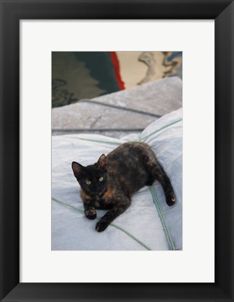 Framed Greece, Paros, Naoussa, Cat on Boat Sails Print