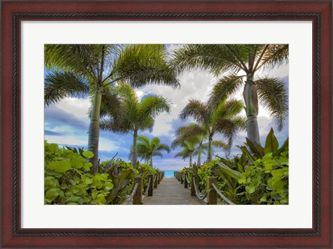 Framed Paradise Path Print