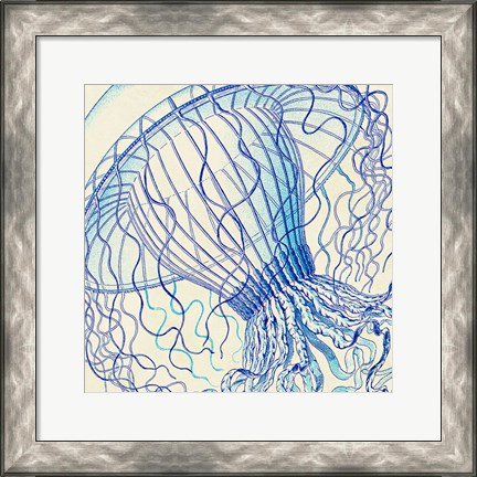 Framed Vintage Jellyfish II Print