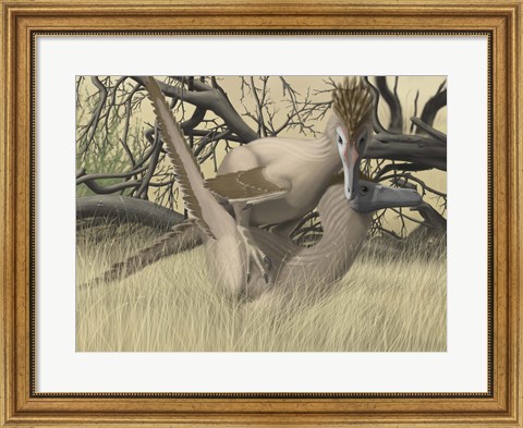 Framed Two Velociraptor&#39;s during MatingSseason Print