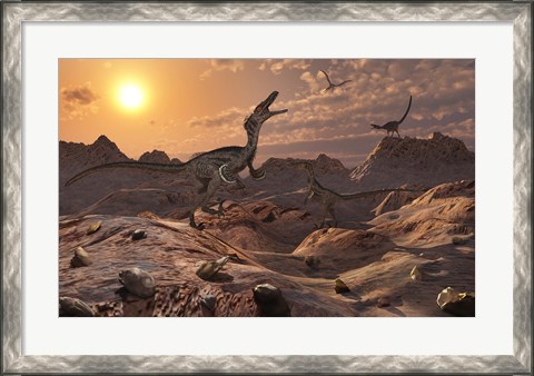 Framed Pack of Carnivorous Velociraptors from the Cretaceous Period Print