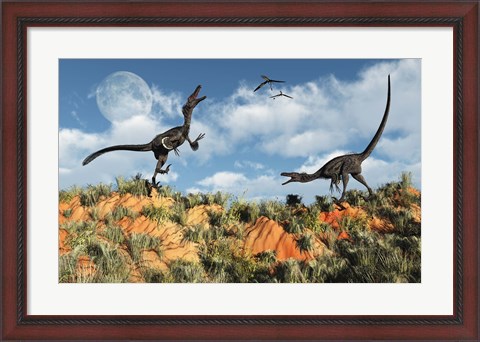 Framed Velociraptors involved in a Territorial Dispute Print