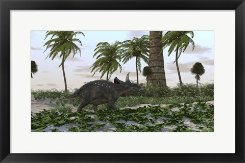 Framed Triceratops Print
