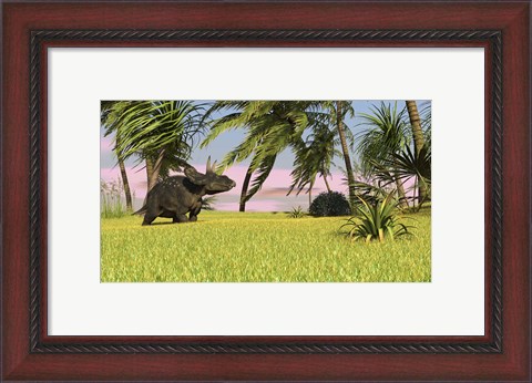 Framed Triceratops Dinosaur 9 Print