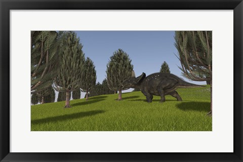 Framed Triceratops Walking across a Grassy Field 2 Print