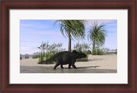 Framed Triceratops Walking along the Shoreline 2 Print