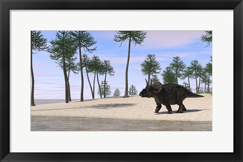 Framed Triceratops Walking along the Shoreline 3 Print