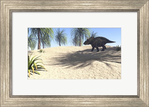 Framed Triceratops Walking in a Tropical Environment 1 Print