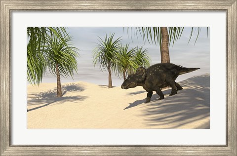 Framed Triceratops Walking in a Tropical Environment 2 Print