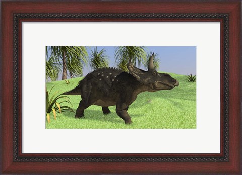 Framed Triceratops Walking in Open Field Print