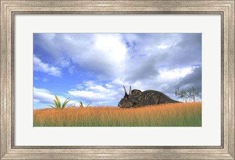 Framed Triceratops Walking through Tall Grass Print