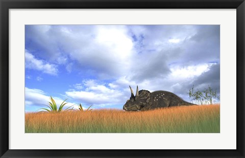 Framed Triceratops Walking through Tall Grass Print