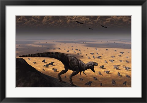 Framed lone T Rex looks down on a large Herd of Triceratops Print