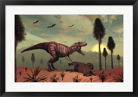 Framed Triceratops falls victim to Tyrannosaurus Rex Print
