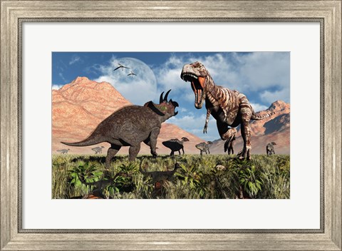 Framed Prehistoric battle between a Triceratops and Tyrannosaurus Rex Print