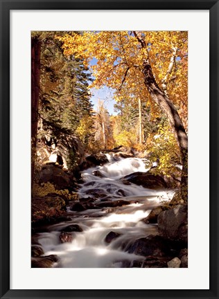 Framed River and Trees Print