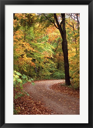 Framed Fall Road Print