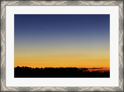 Framed Comet Panstarrs I Print