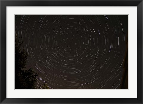 Framed Star Trails around Polaris in the Constellation Ursa Minor Print