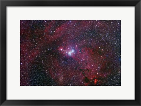 Framed NGC 2264, The Cone Nebula Region Print