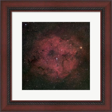 Framed large IC 1396 emission Nebula complex Print